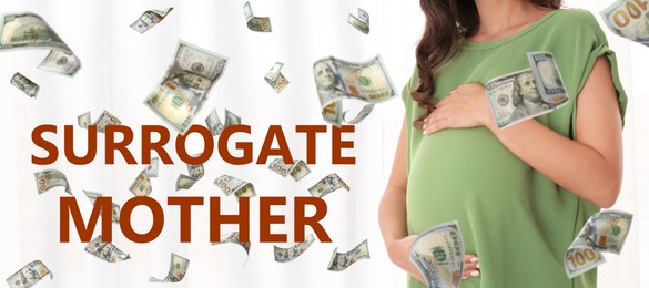 Image of Surrogacy concept. Closeup view of young pregnant woman and flying money on white background, banner design