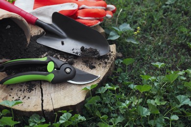 Photo of Secateurs and other gardening tools on wooden stump among green grass