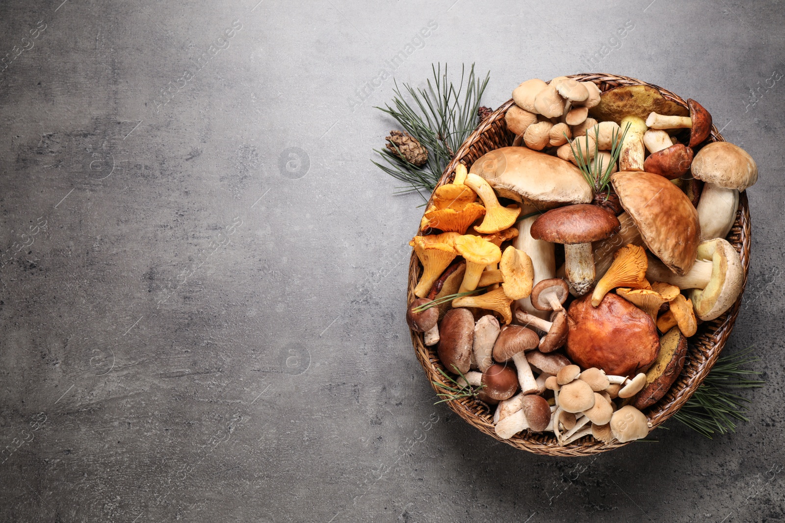 Photo of Different fresh wild mushrooms on grey table, flat lay. Space for text