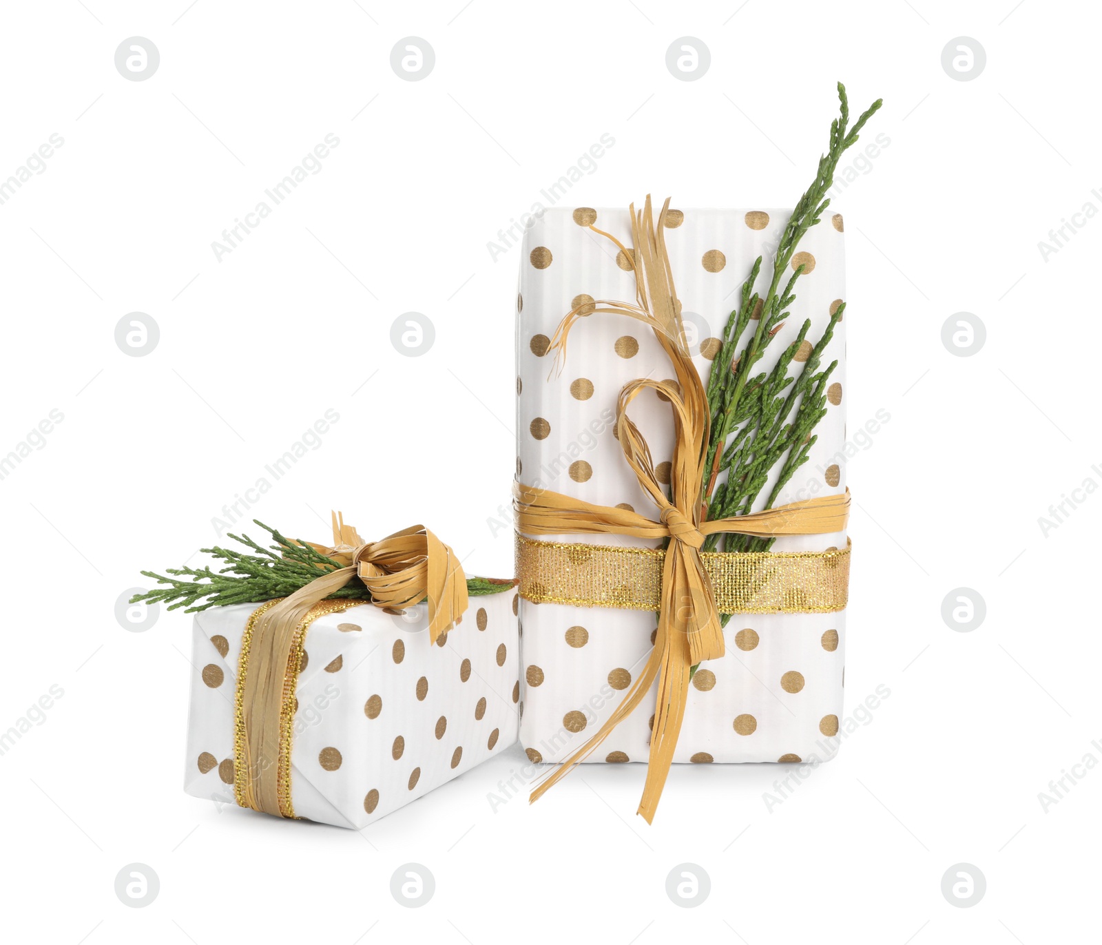 Photo of Christmas gift boxes decorated with fir branches on white background