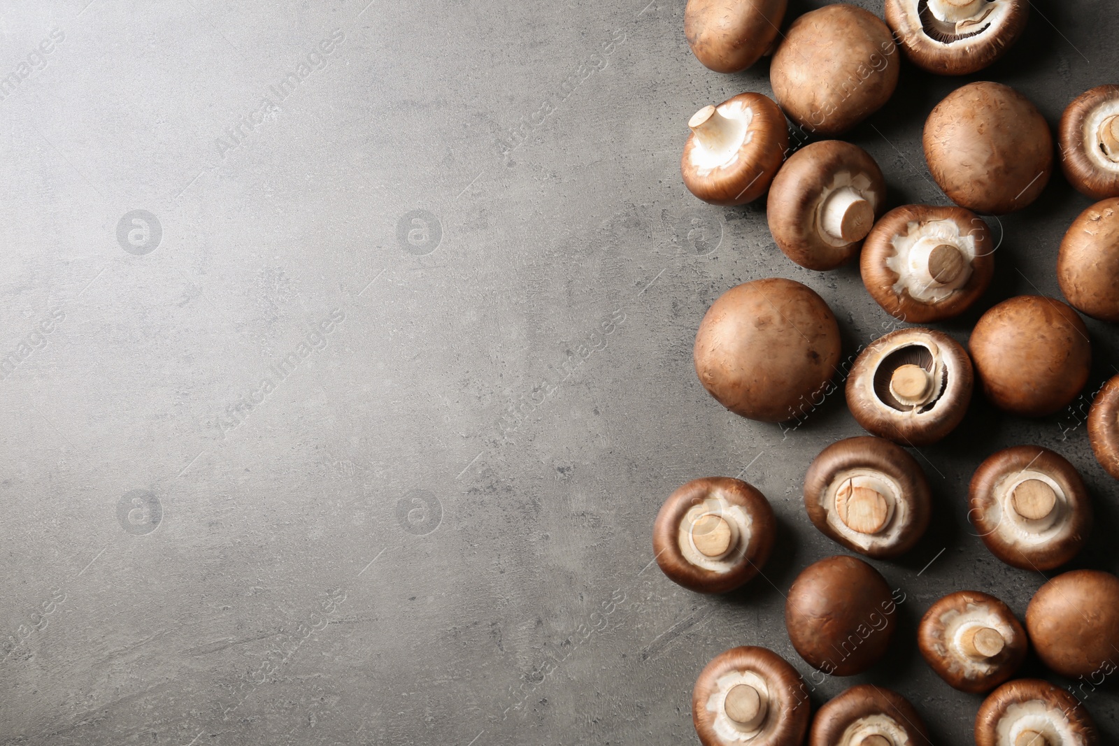 Photo of Fresh champignon mushrooms on grey background, top view with space for text
