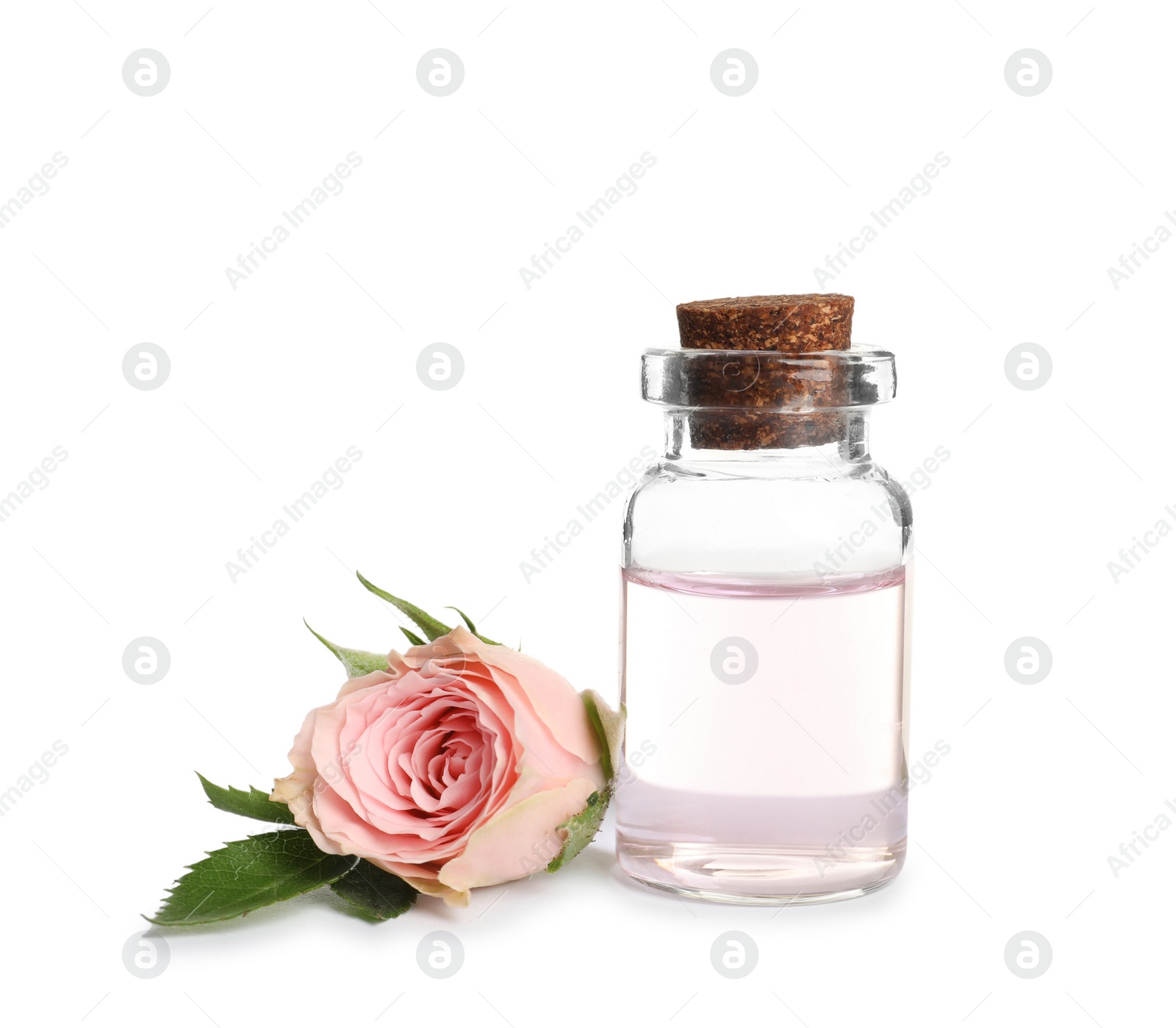 Photo of Bottle of rose essential oil and flower isolated on white