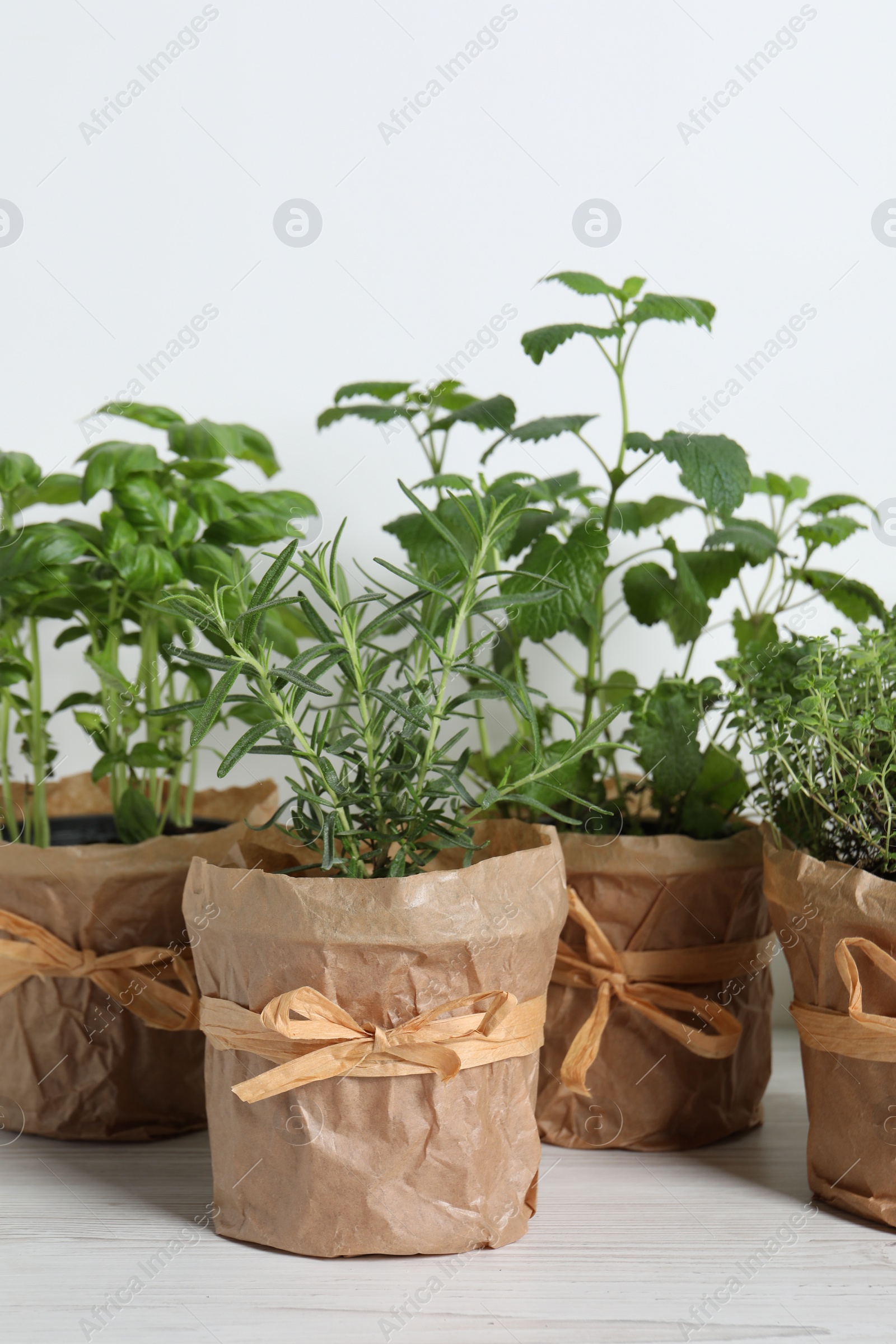 Photo of Different aromatic potted herbs on white wooden table
