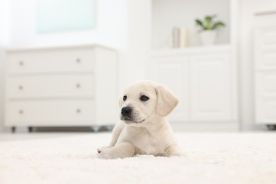 Photo of Cute little puppy lying on white carpet at home