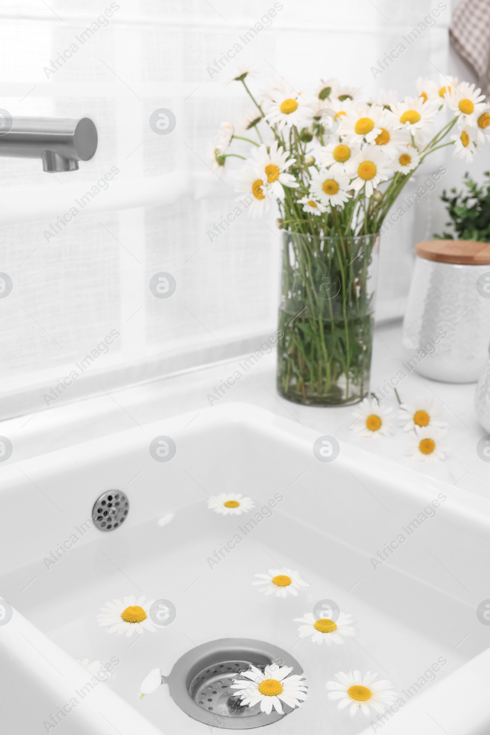 Photo of Sink with water and beautiful chamomiles indoors