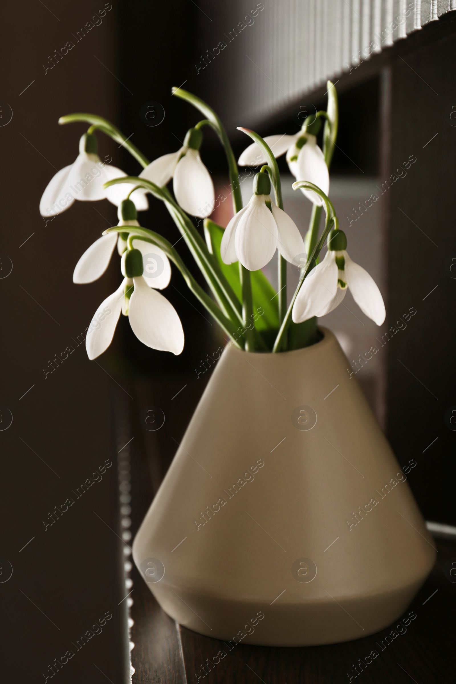 Photo of Beautiful snowdrops in vase on wooden table indoors