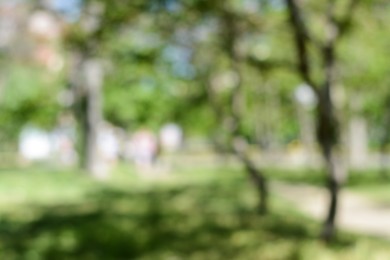 Park with trees on sunny day, blurred view. Bokeh effect