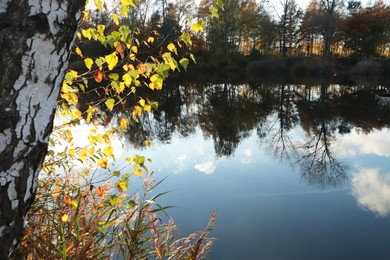 Picturesque view of lake and trees on autumn day