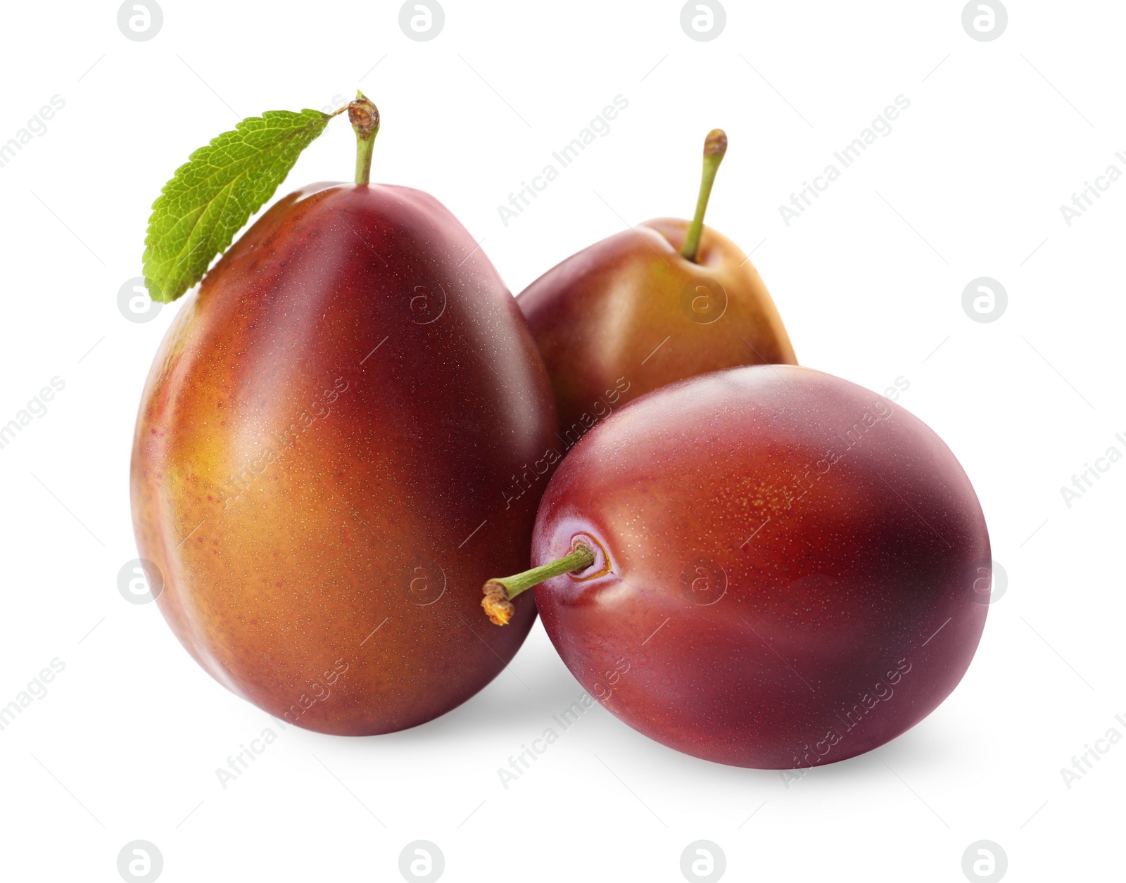 Photo of Delicious fresh ripe plums on white background