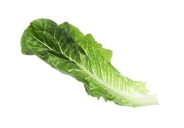 Photo of Fresh leaf of green romaine lettuce isolated on white