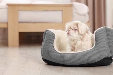 Photo of Cute Pekingese dog on pet bed in room, space for text