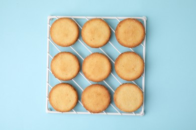 Photo of Tasty sweet sugar cookies on light blue background, top view