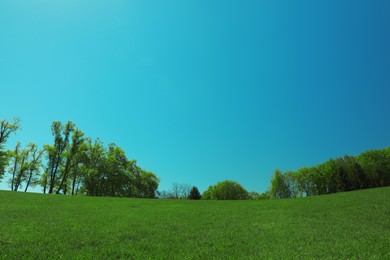 Photo of Beautiful view of landscape with fresh green grass and trees outdoors