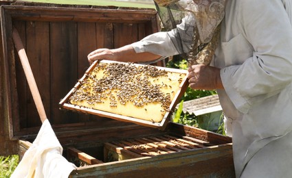 Photo of Beekeeper in uniform with comb frame at apiary, closeup