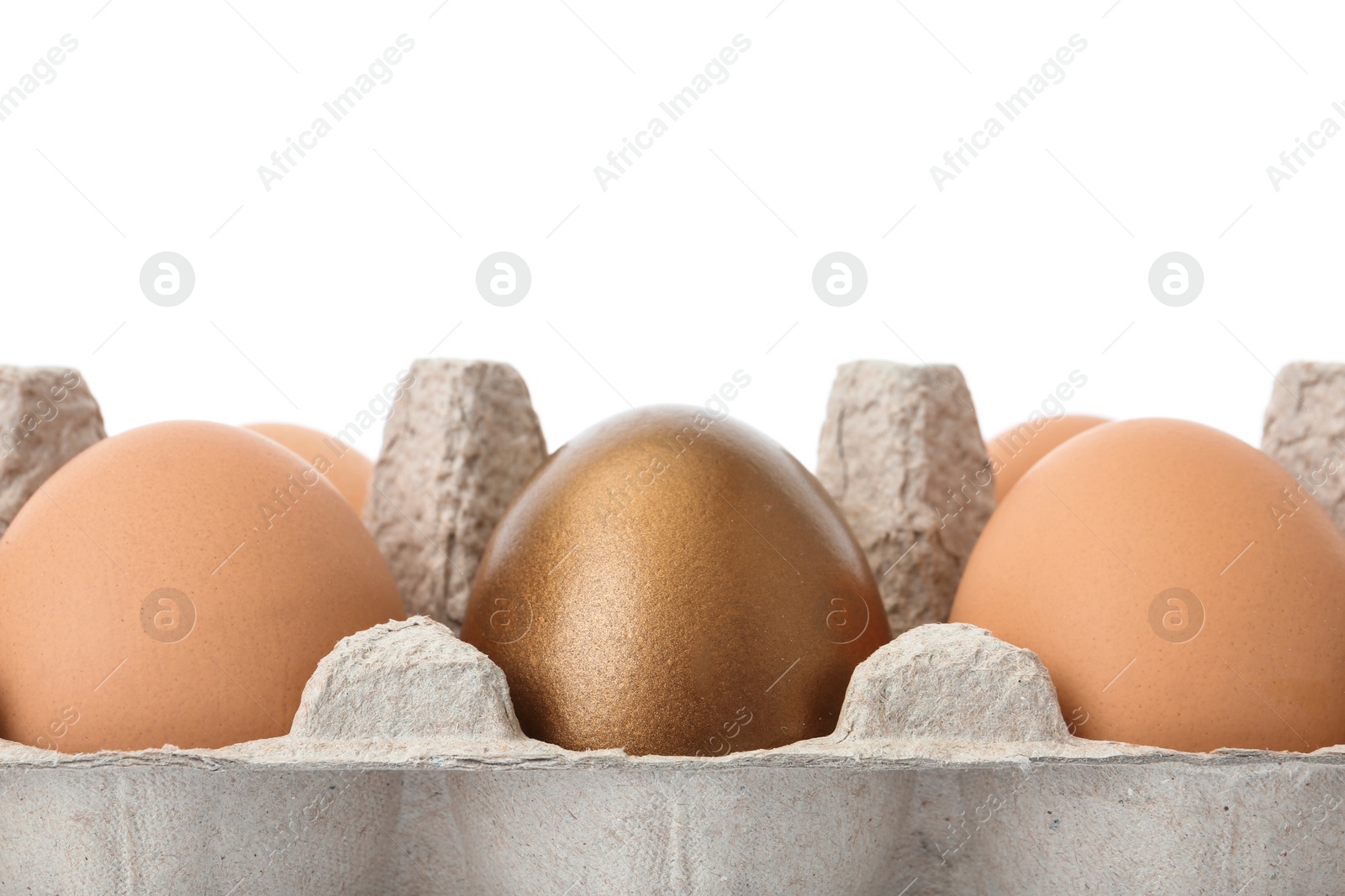 Photo of Eggs with golden one in carton on white background