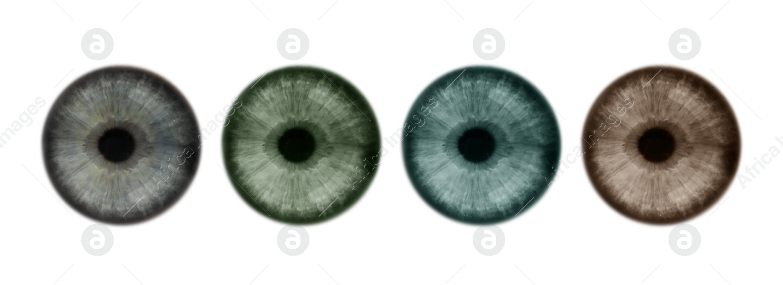 Image of Set with different color eyes on white background. Banner design