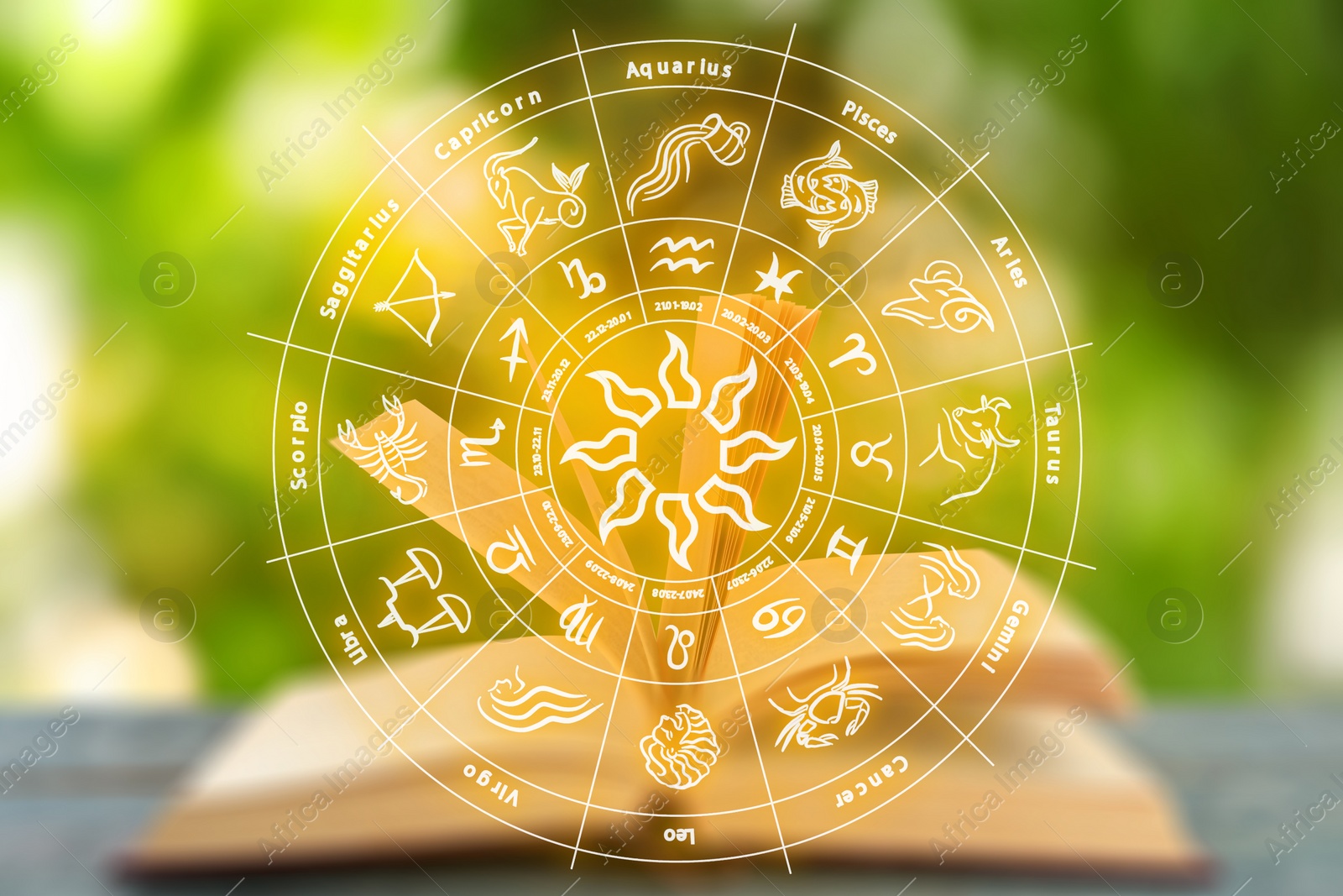 Image of Open book on table and illustration of zodiac wheel with astrological signs against blurred green background