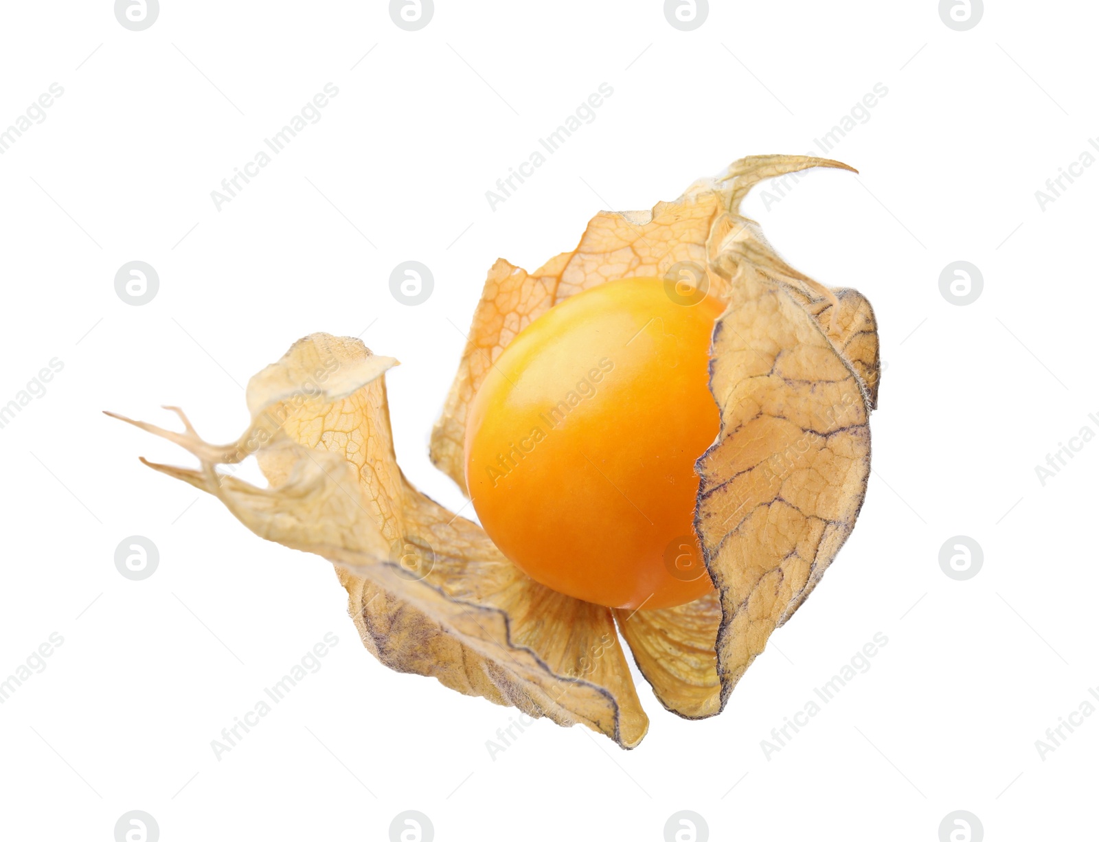 Photo of Ripe physalis fruit with calyx isolated on white