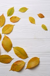 Autumn leaves on white wooden table, flat lay. Space for text