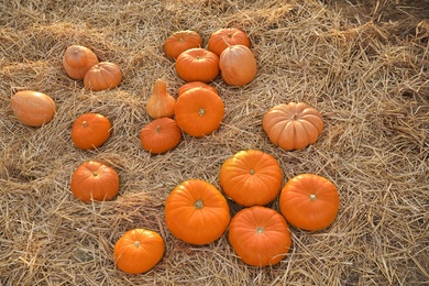 Ripe orange pumpkins among straw in field, above view