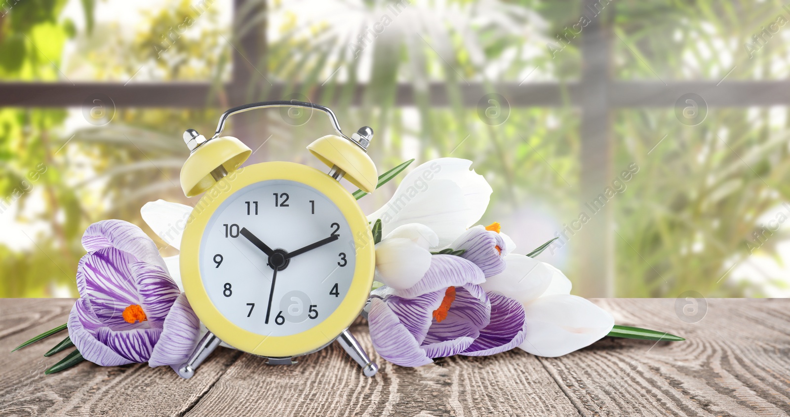 Image of Yellow alarm clock and flowers on table against blurred background. Spring time