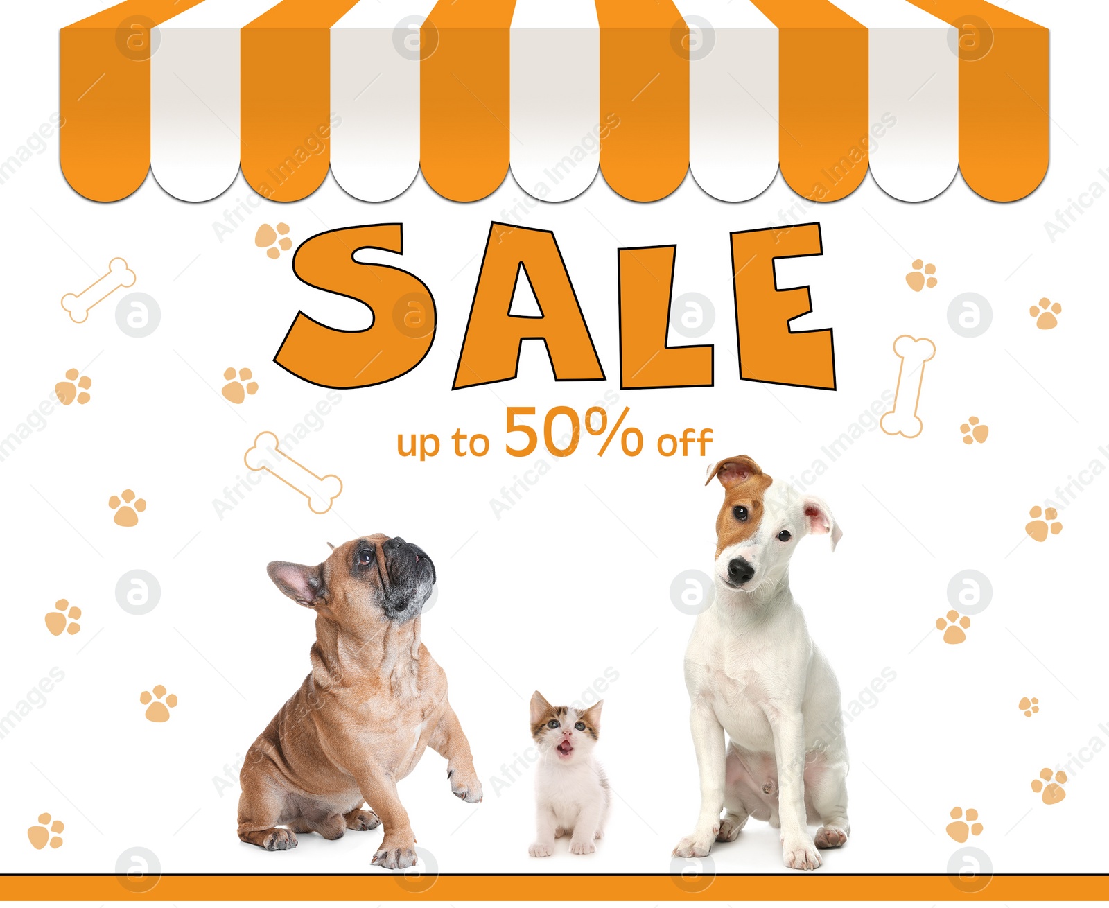 Image of Advertising poster Pet Shop SALE. Cute dogs and kitten on white background