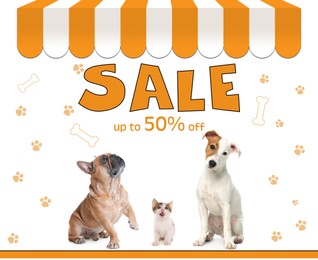 Image of Advertising poster Pet Shop SALE. Cute dogs and kitten on white background