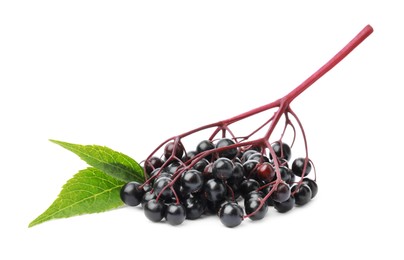 Delicious ripe black elderberries with green leaves isolated on white