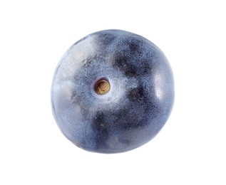 One fresh ripe blueberry isolated on white