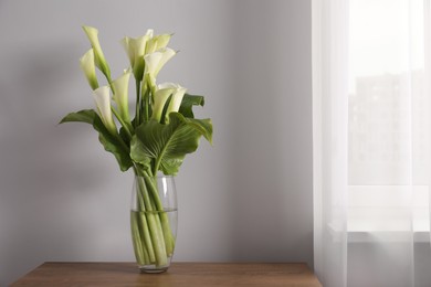Beautiful calla lily flowers in vase on wooden table. Space for text