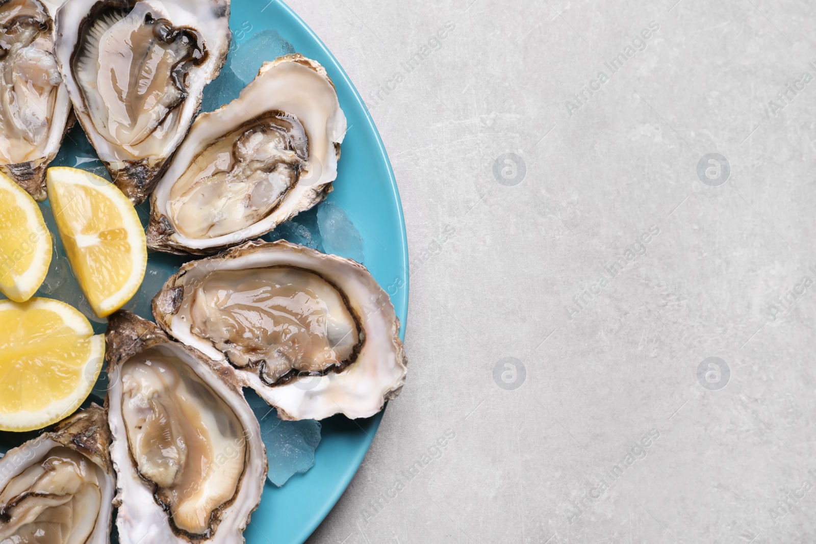 Photo of Fresh oysters with lemon on grey table, top view. Space for text