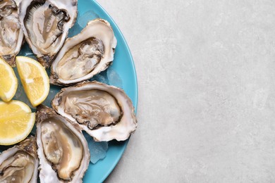 Fresh oysters with lemon on grey table, top view. Space for text