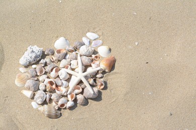 Beautiful starfish and sea shells on sandy beach, above view. Space for text