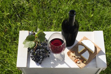 Red wine and snacks for picnic served on green grass outdoors, above view