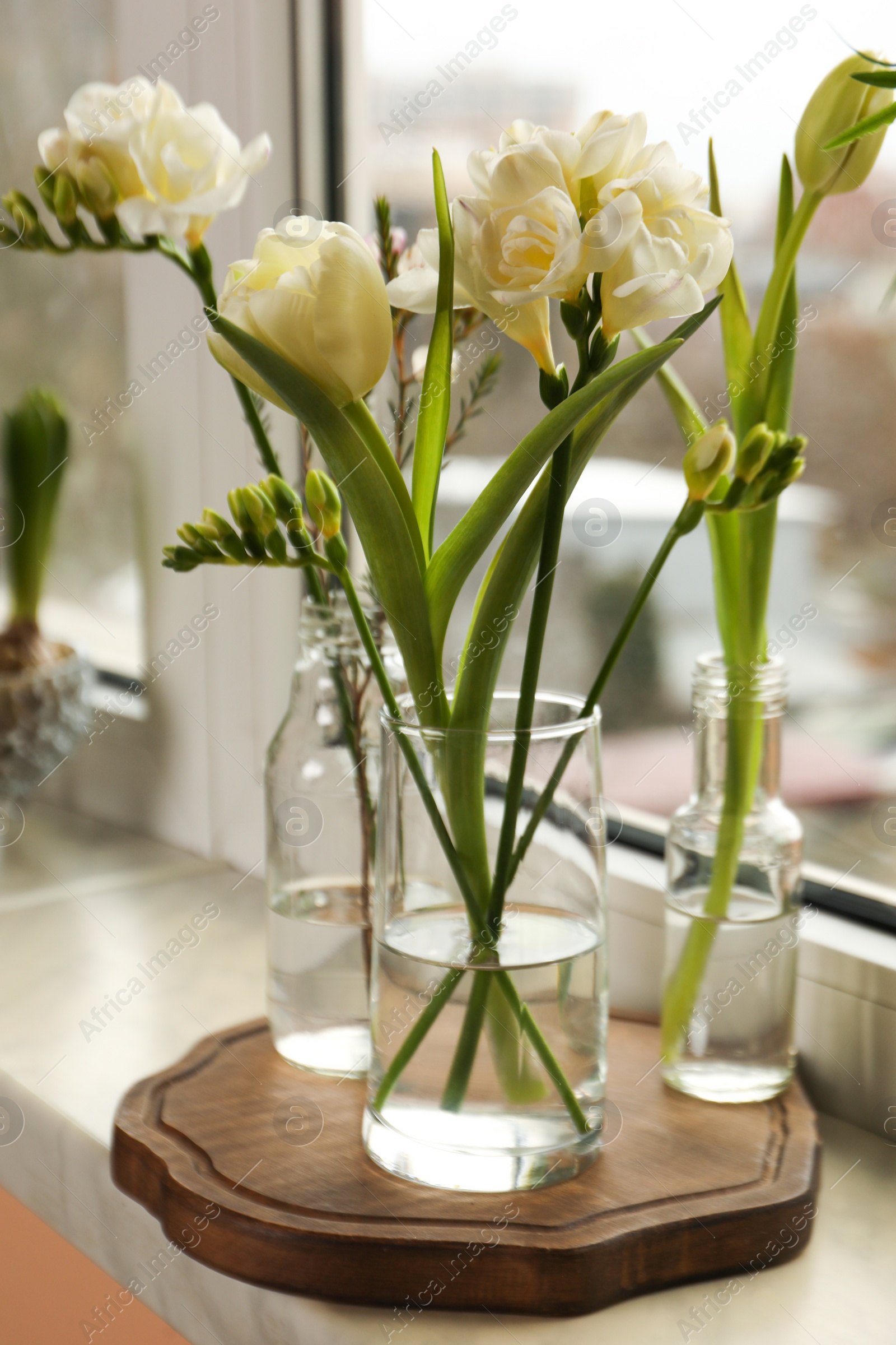 Photo of Different beautiful spring flowers on windowsill indoors