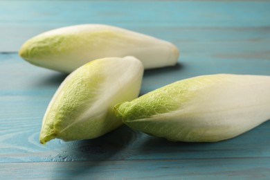 Photo of Fresh raw Belgian endives (chicory) on light blue wooden table, closeup