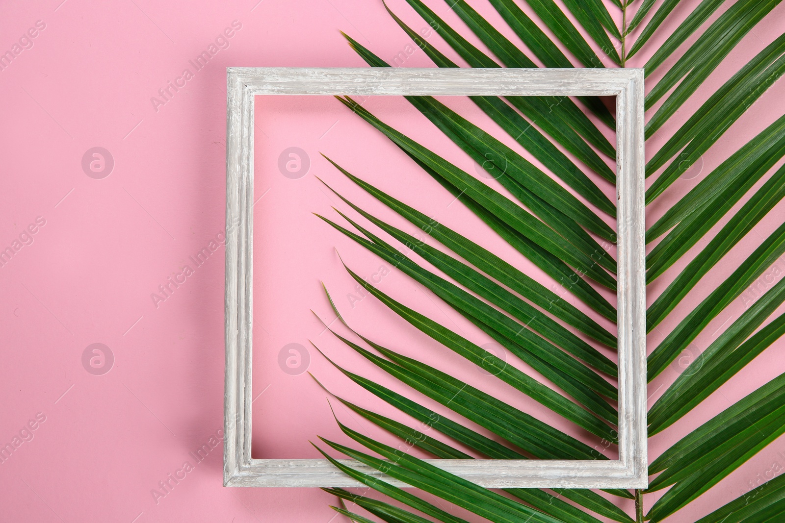 Photo of Flat lay composition with tropical leaves on color background