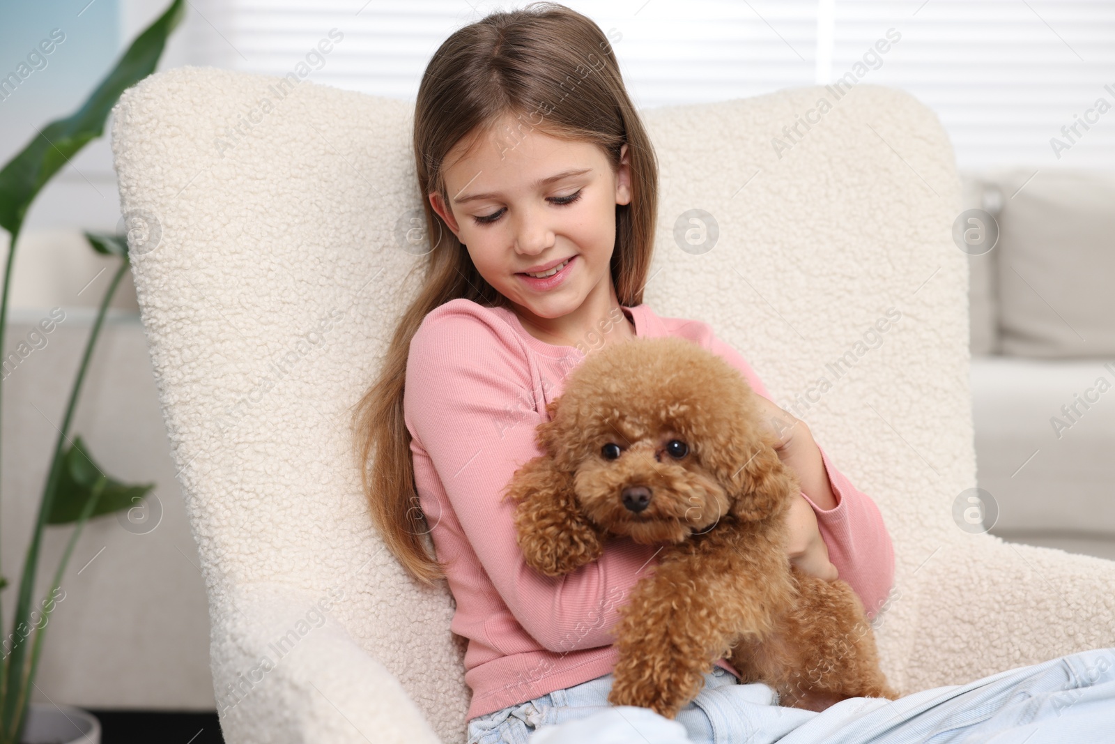 Photo of Little child with cute puppy in armchair at home. Lovely pet