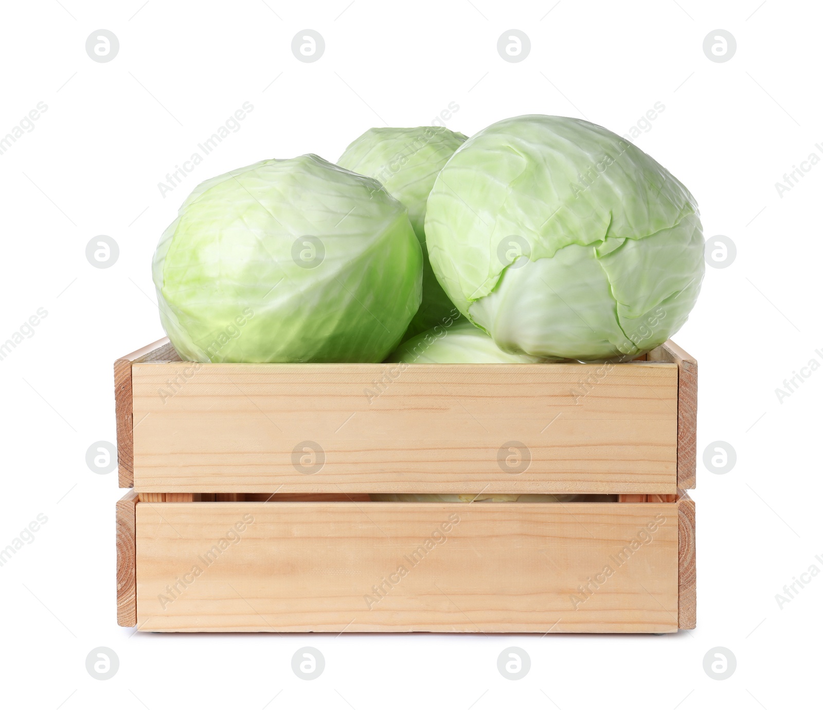 Photo of Wooden crate full of fresh ripe cabbages isolated on white