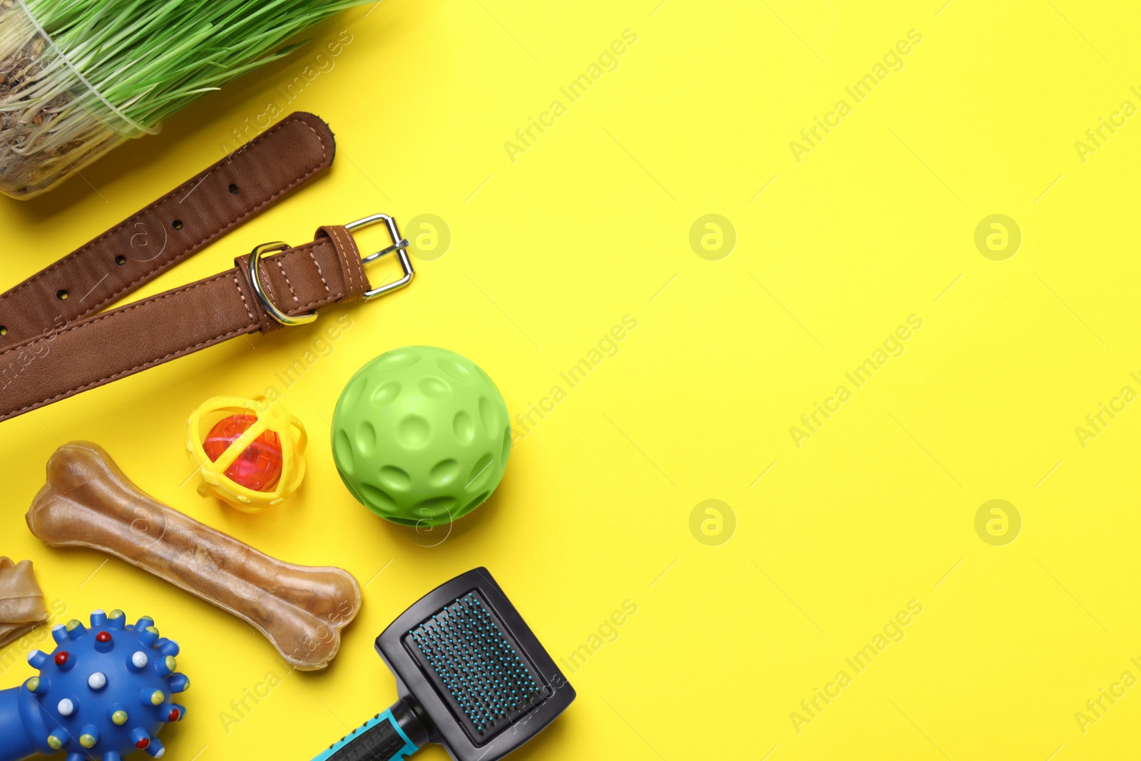 Photo of Flat lay composition with pet toys and accessories on yellow background, space for text