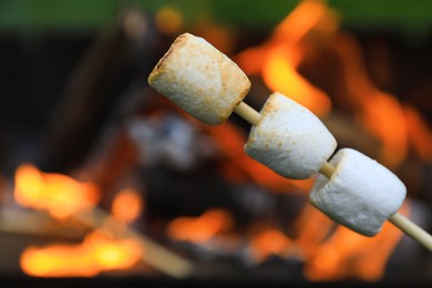 Photo of Delicious puffy marshmallows roasting over bonfire, closeup. Space for text