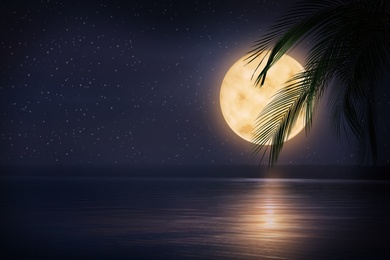 Image of Fantasy night. Palm leaves and full moon in starry sky over sea