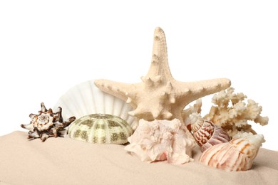 Photo of Beautiful starfish, coral and sea shells in sand on white background