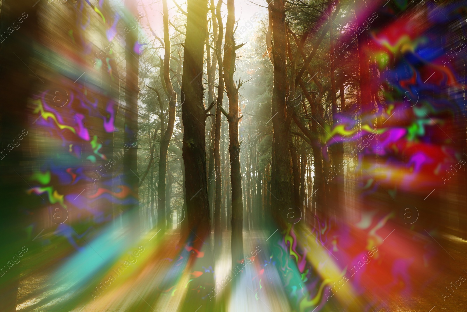 Image of View of forest and flashing lights effect. Migraine aura, symptom of disease