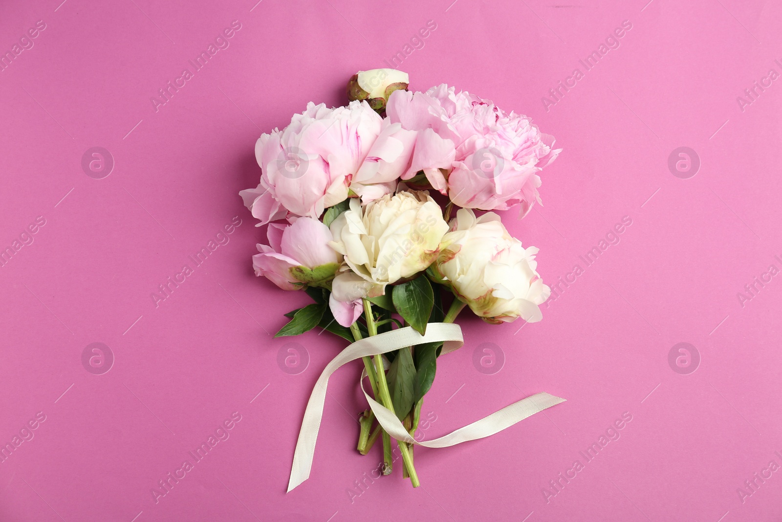 Photo of Bouquet of beautiful peonies with ribbon on pink background, flat lay