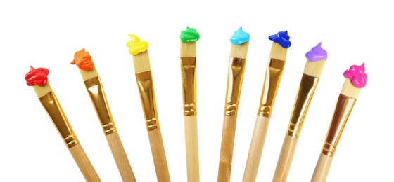 Image of Set of different brushes with paints on white background. Banner design