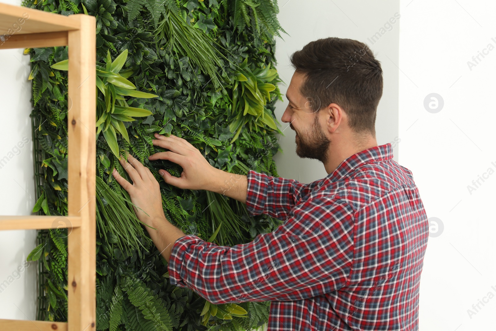 Photo of Man installing green artificial plant panel on white wall in room