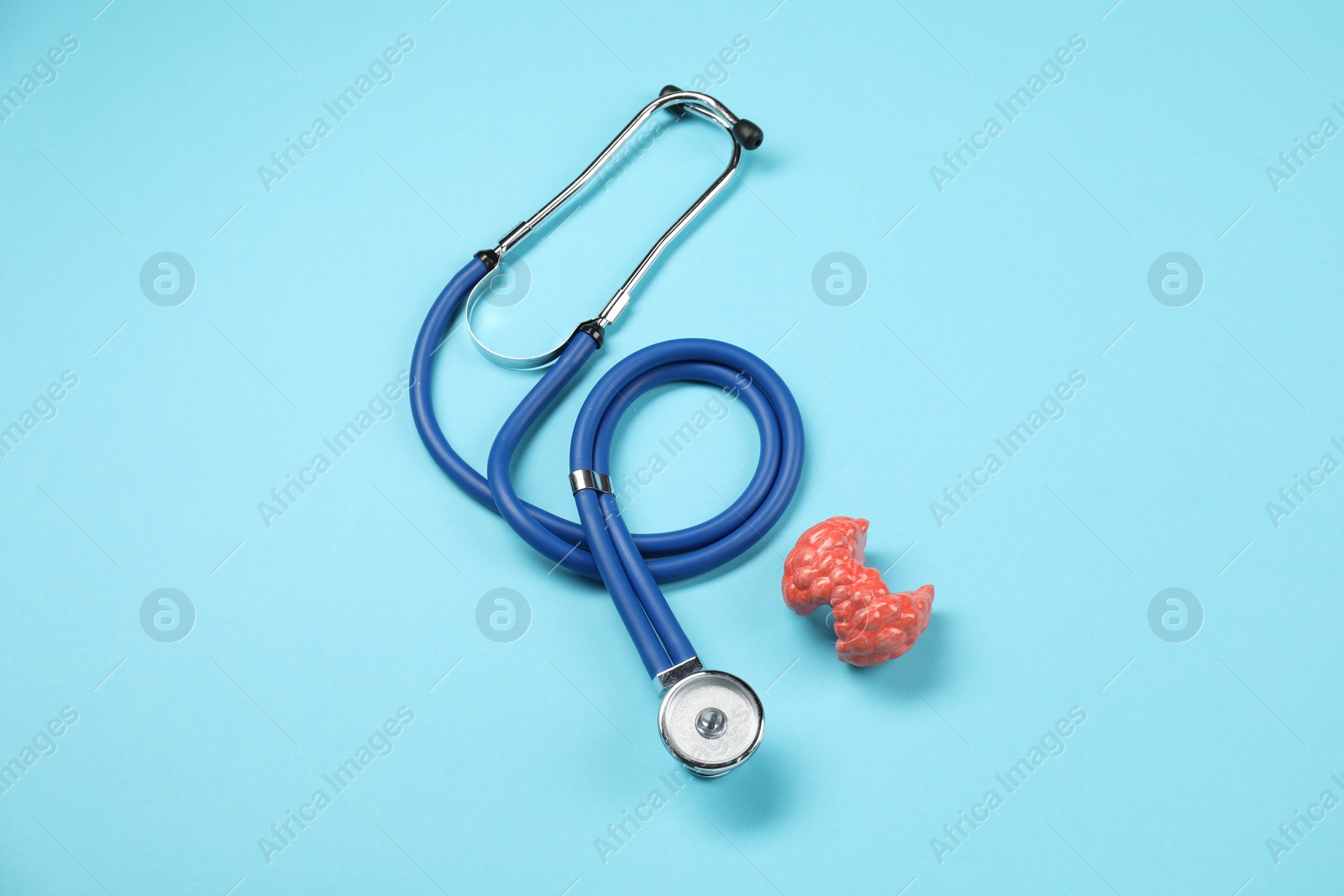 Photo of Endocrinology. Stethoscope and model of thyroid gland on light blue background, top view