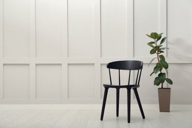 Photo of Black wooden chair and beautiful houseplant near white wall indoors. Space for text