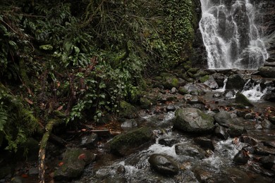 Picturesque view of beautiful mountain waterfall, green plants and rocks outdoors